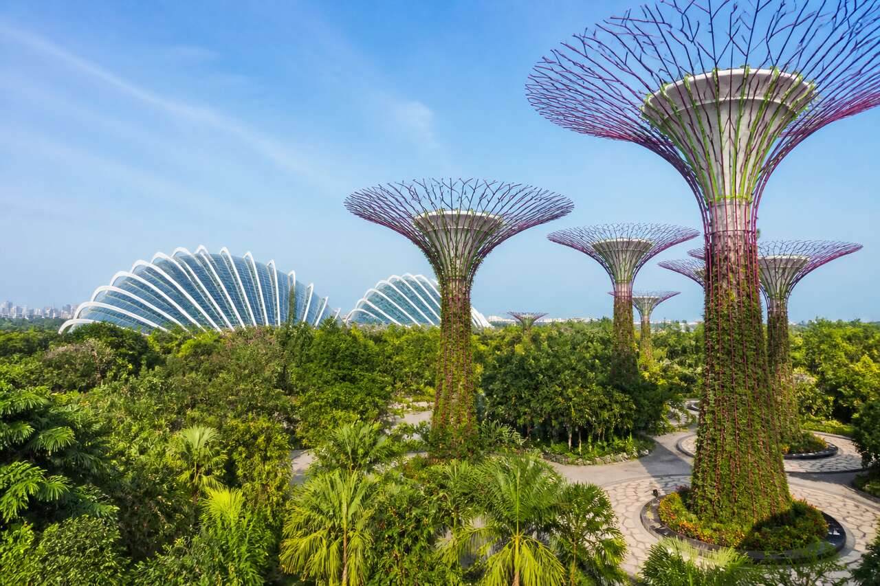 Découvrir gardens by the bay Découvrir gardens by the bay